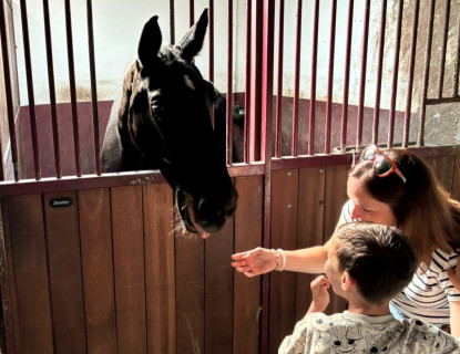 Paard aaien